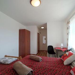 "U Skowronkow" Bed & Breakfast Bukowina Tatrzanska Bagian luar foto